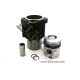 02922609, 02928142 CYLINDER KIT DEUTZ 912 100mm 4R