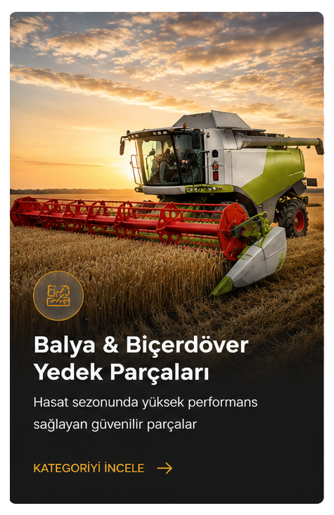 balya-son